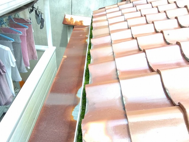 雨漏り屋根調査